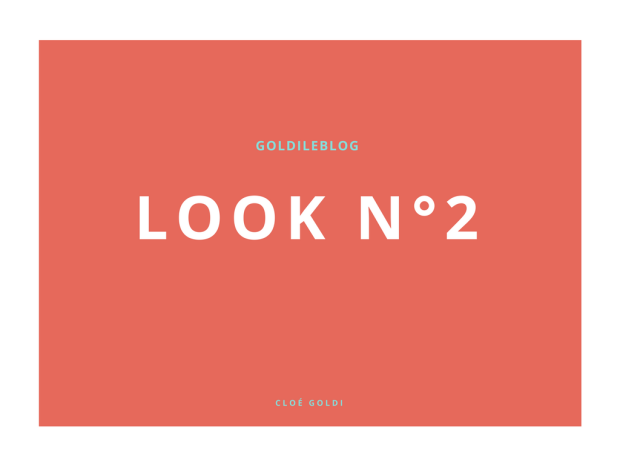 Look n°1 (11)